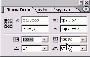  Scale X  Scale Y  