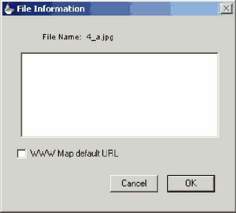  File Information