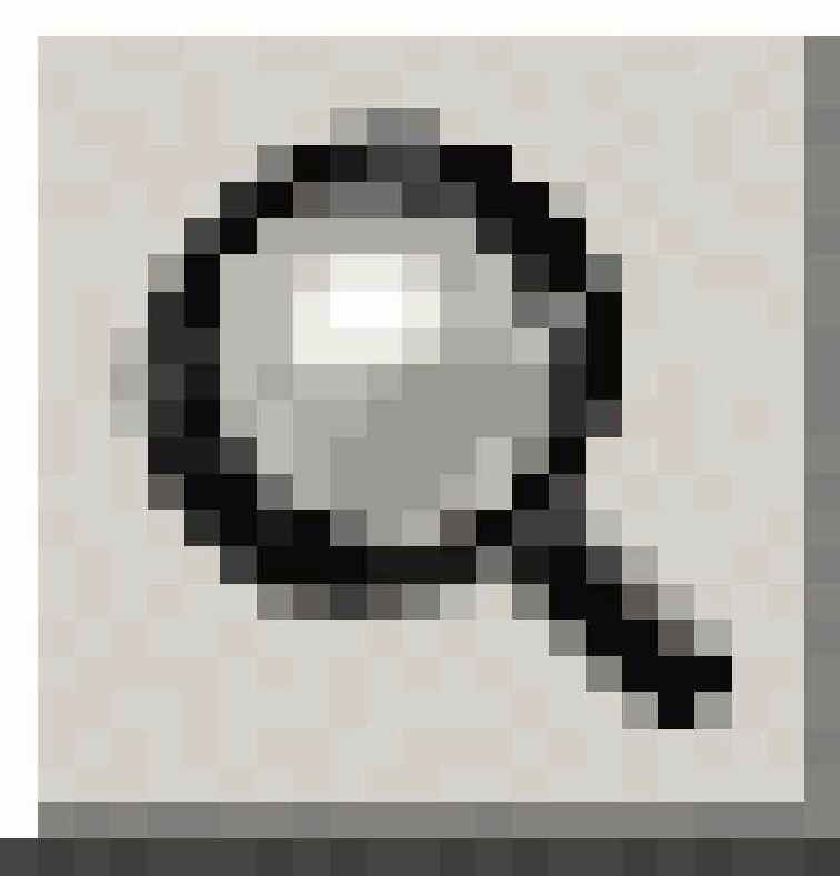    Magnifier