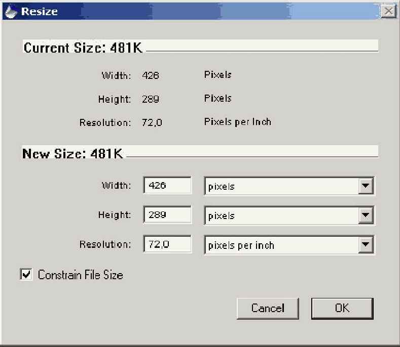  Resize