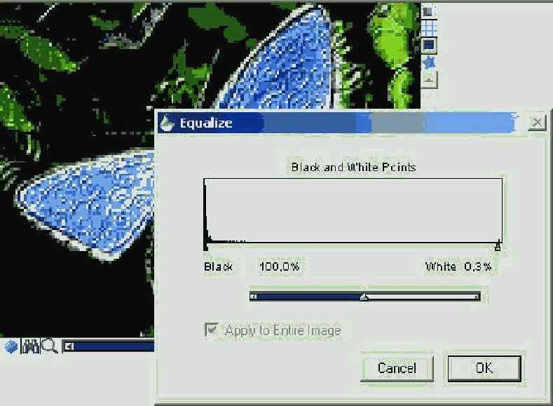   Painter   Equalize